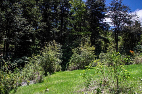 1 Hectárea Con Río Y Bosque | Tinquilco - Huerquehue - Pucón