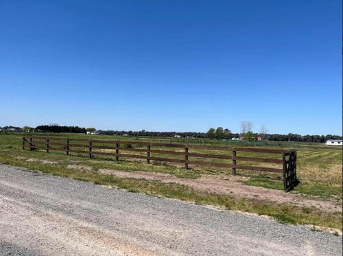 Terreno En Venta - 2752mts2 - Carlos Keen