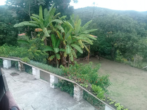 Imagem 16 de 28 de Sítio À Venda, 5 Quartos, 2 Suítes, 4 Vagas, Centro - São Roque/sp - 2308