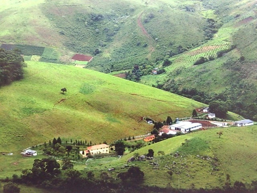Imagem 20 de 20 de Belíssima Propriedade Em Santo Antonio Do Pinhal - St-468