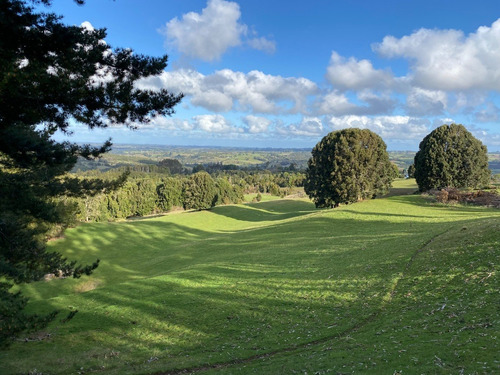 Imagen 16 de 16 de Campito De 7ha Mirador Del Mañio - Los Muermos