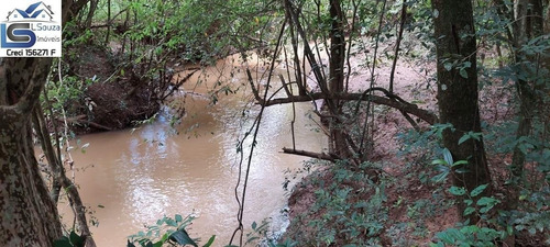 Imagem 7 de 15 de Chácara Para Venda Em Pinhalzinho, Zona Rural, 3 Dormitórios, 3 Suítes, 2 Vagas - 1140_2-1186087