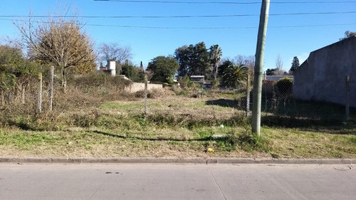 Imagen 4 de 16 de Venta De Amplio Terreno En Paso Del Rey, Villa Zapiola