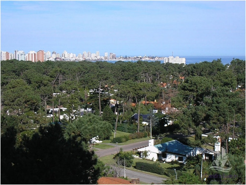 Apartamento En Roosevelt, 2 Dormitorios *- Ref: 5186