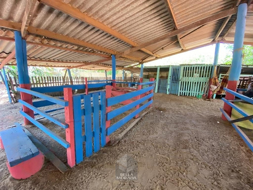Imagem 8 de 15 de Chácara À Venda Com 3 Casas Barra Verde Limeira - Ch-105-1