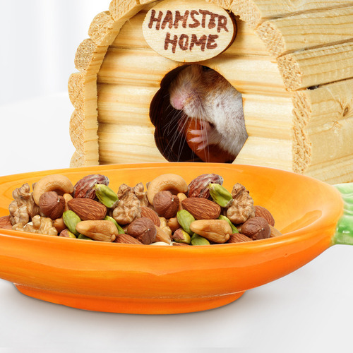 Plato De Comida Para Hámsteres Para Conejos, Zanahoria