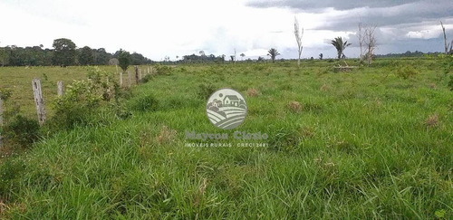 Imagem 1 de 10 de Venda Sítio Alto Paraíso Em Rondônia - Si314