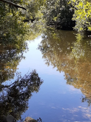 Campo De 47 Has En Paraje Los Caracoles - Consulte !!!!!- Ref: 1359