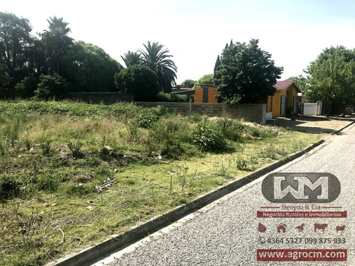 Venta Terreno En Trinidad Flores 300 M2