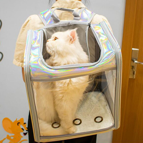 Bolsa Transparente Para Mascotas, Gatos, Perros, Diseño