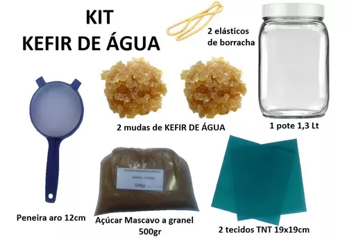 Kit Kefir De Água C/ 2 Mudas De Kefir + Utensílios
