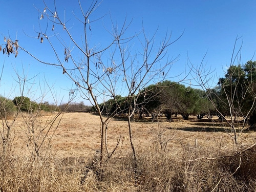 Imagen 3 de 7 de Terreno En Venta En Merlo, San Luis
