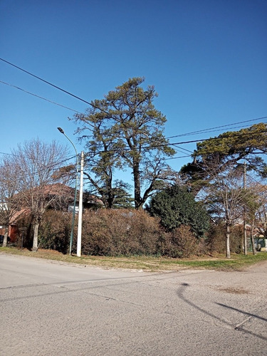 Imagen 3 de 5 de Lote En Barrio Los Pinares