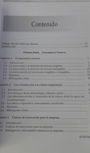 Cultura E Innovacion Empresarial De Patricio Morcillo Usado (Usado)