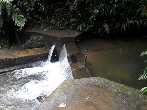 Imagen 7 de 16 de Se Vende Hostal En Filandia - Quindío
