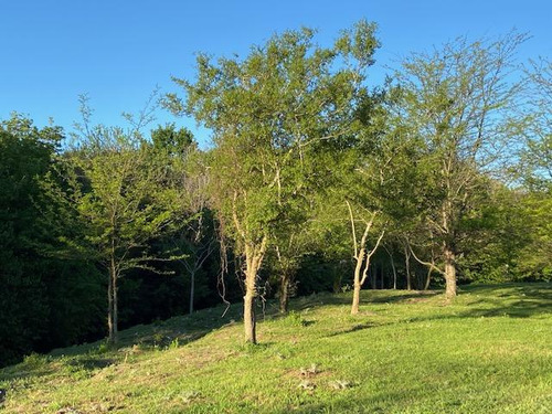 Terreno Entre Caminos . Zona Parque Ecológico
