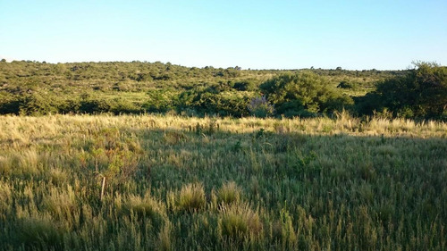 Oportunidad Venta Terreno - Club De Campo Los Tres Arroyos, La Falda, Córdoba
