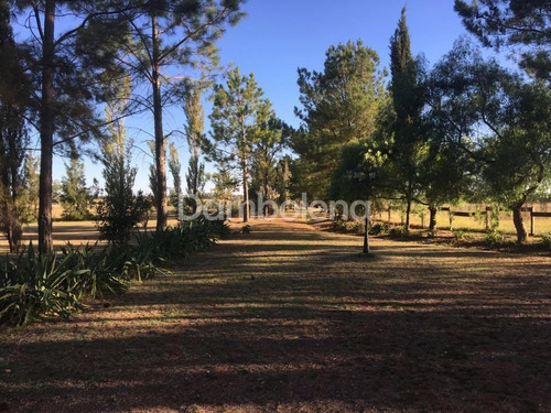 Imagen 16 de 30 de Terreno Fraccion En Venta O Permuta Ubicado En Mercedes, Resto De La Provincia