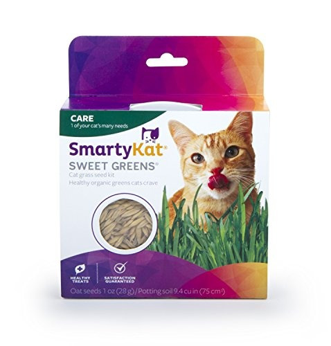Smartykat Sweet Greens Cat Grass Kit 1 Oz