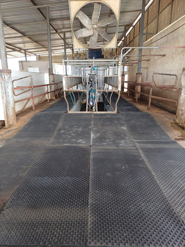 Piso Em Borracha Para Sala De Ordenha Fosso Corredor Equino