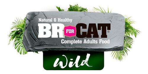 Imagen 2 de 2 de Br For Wild Cat Kitten X 3 Kg