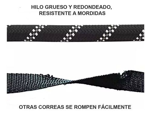 Correa Para Perro Gato Pequeño Miniatura Ligera Resistente Macho