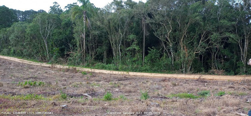 Imagem 5 de 15 de Terreno Para Venda Em Mariana Pimentel, Linha Alves - 1244_1-1843088