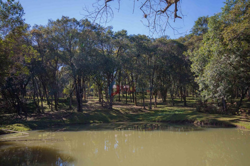 Imagem 23 de 29 de Chácara Com 3 Dormitórios À Venda, 29445 M² Por R$ 2.150.000 - Jardim Karla - Pinhais/pr - Ch0002