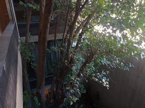 Departamento En Venta-c. Charco Azul, Mixcoac, Benito Juárez