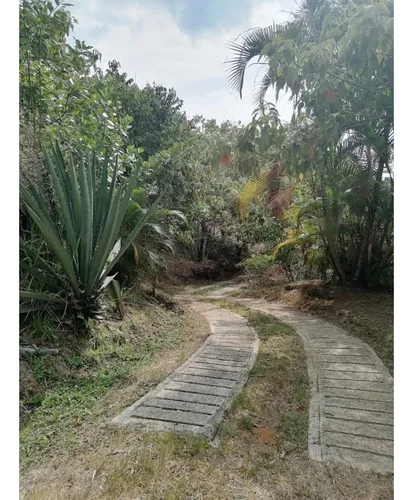 Venta Lote Campestre De 2.000 Mts2, Vereda Los Andes, Cali. 12955-1.
