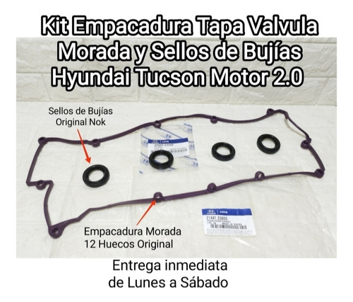 Empacadura Tapa Valvula + Sello Bujia Hyundai Tucson 04/09 