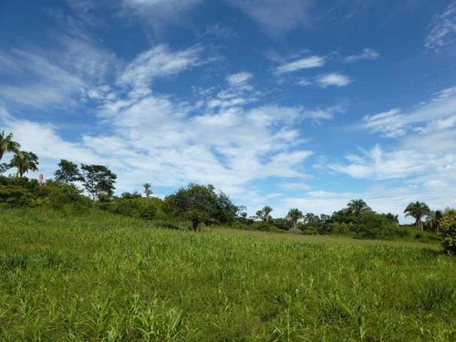 Imagen 9 de 9 de Finca En Venta En Santa Bárbara