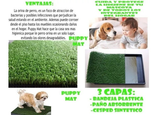 Bandeja Sanitaria Baño Mascotas Pet Cesped Perros 42 X 42