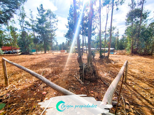 Lote Plano 1000m², Condominio Huallilemu El Quisco