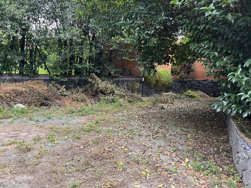 Terreno En Renta En La Magdalena