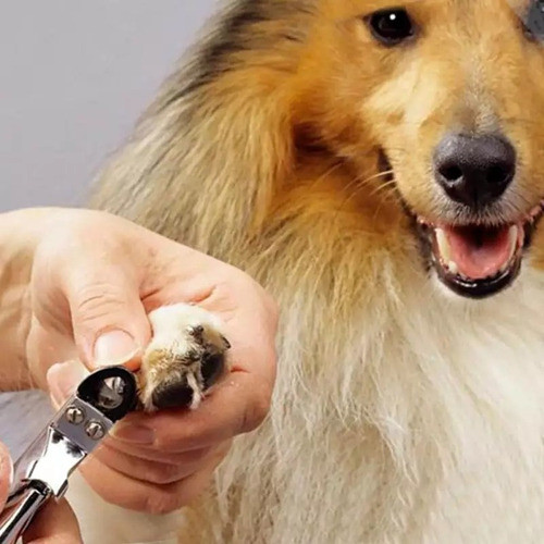 Corta Uñas Para Perro O Gato De - Unidad a $12999