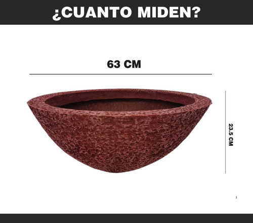 Imagen 8 de 8 de Maceta Minimalista Tazón (mejor Que Fibra De Vidrio).57