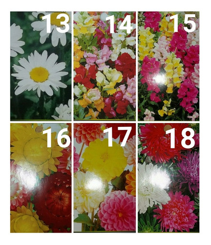 Imagen 3 de 10 de Sobres De Semillas Flores Varias