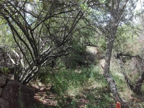 Imagen 28 de 30 de Venta Hermoso Terreno, Fondo De Arroyo, Las Rabonas, Nono, Traslasierra