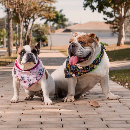 Bandana Pet Jr Dupla Face Para Cachorros Rayssa Em Poliéster Cor Pink Rayssa P