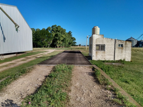 Imagen 12 de 12 de Planta De Silos Vendo O Alquilo