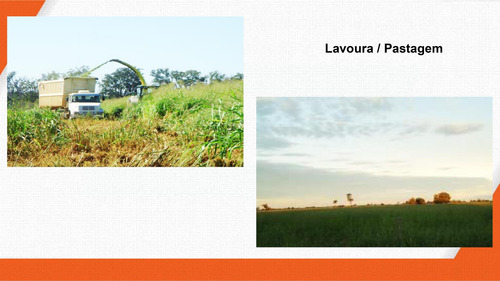 Imagem 23 de 30 de Fazenda 2444 Alqueires, Boa De Água Com Represas E Rio, Fábrica De Ração, 29 Pivôs, Área De Pastagem, Colônia, Casa Sede 600m2, Galpões,pista De Pouso - Fa00102 - 70229637