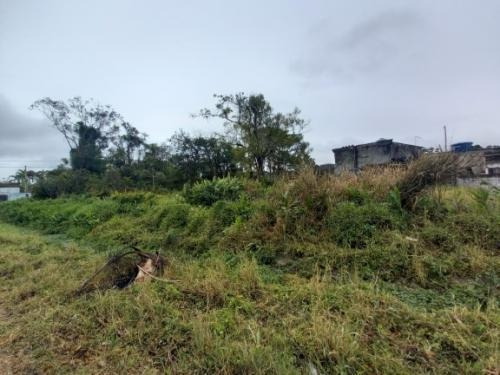 Imagem 3 de 4 de Terreno À Venda A 500 M Da Rodovia Em Itanhaém. 8486