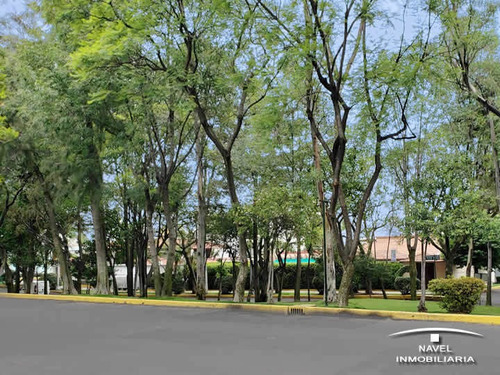 Imagen 11 de 11 de Cuenta Con Un Hermoso Jardín, Cav-4540