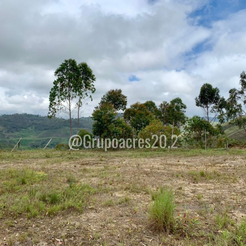 Imagen 3 de 5 de Acres 20.2 Vende Terreno Ubicado En La Urbanizacion Lomas De Avp. Cf