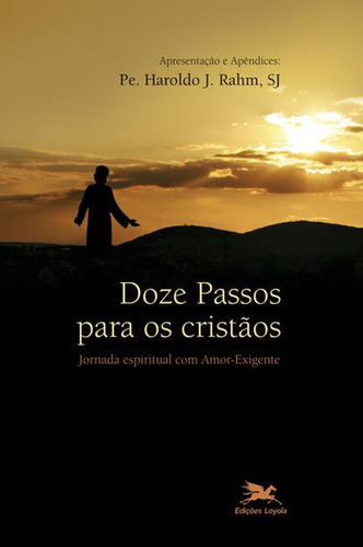 Doze Passos Para Os Cristãos Jornada espiritual com amor-exigente  Haroldo J Rahm Editora Loyola