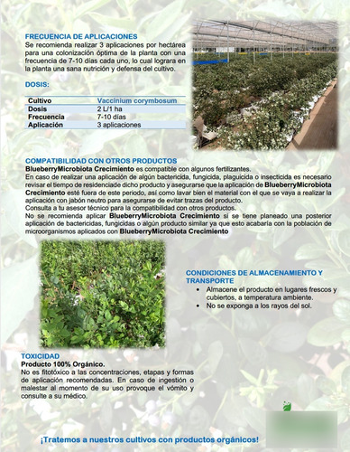 Microorganismos Específicos Para El Crecimiento Del Arandano