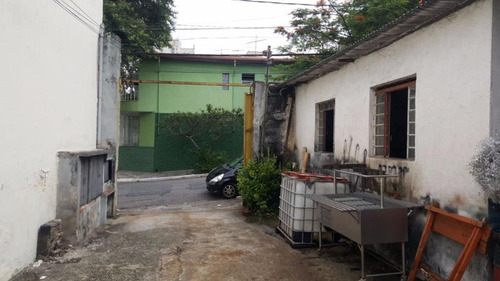 Terreno Residencial À Venda, Vila Prudente, São Paulo. - Te0119