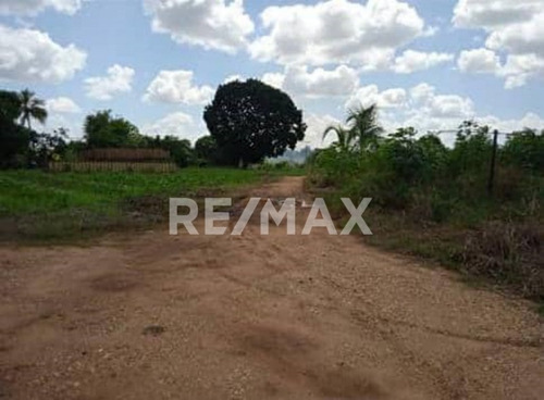 Imagen 5 de 5 de Se Vende Aserradero Vía Al Norte