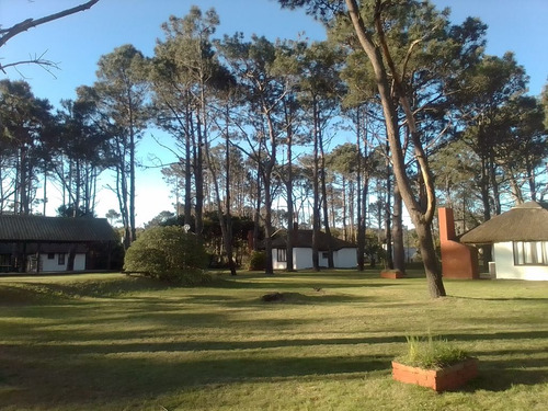Cabañas Tío Con En La Paloma
